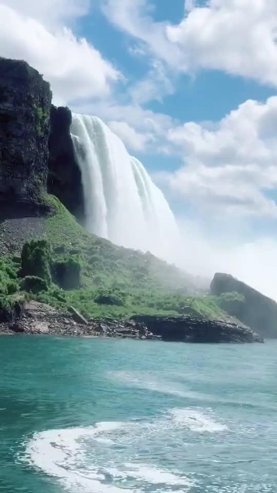 蔬菜产业好光景